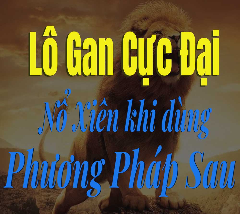 lô-gan-cực-đại